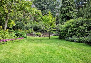 Optimiser l'expérience du jardin à Lacroix-Falgarde